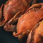 img-crab-01.jpg